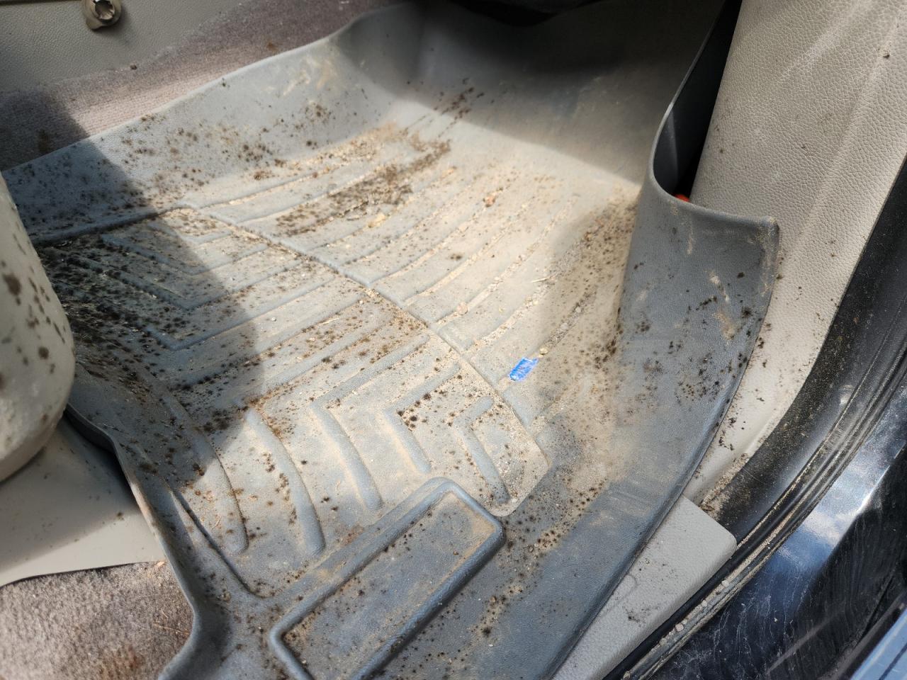 2013 Lincoln Navigator L Black vin: 5LMJJ3H58DEL08649 Damage: Right Front Seat, Stained, Permanent