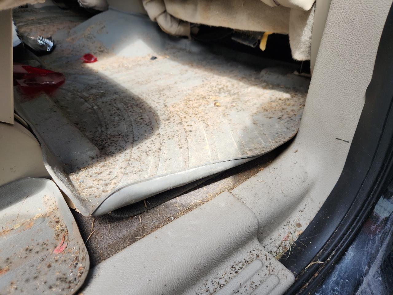 2013 Lincoln Navigator L Black vin: 5LMJJ3H58DEL08649 Damage: Right Rear Floor Mat, Stained, Permanent