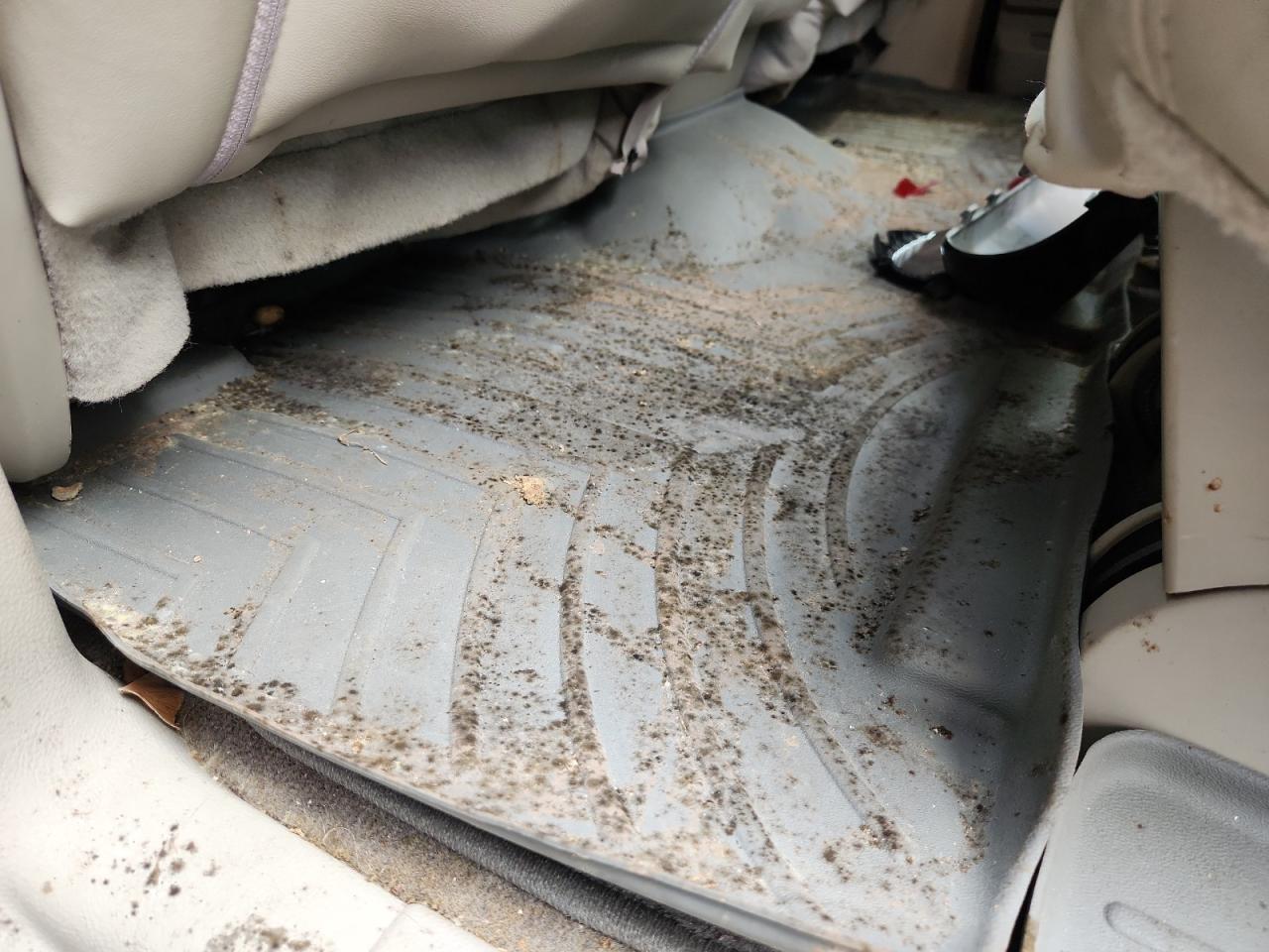 2013 Lincoln Navigator L Black vin: 5LMJJ3H58DEL08649 Damage: Left Rear Floor Mat, Stained, Permanent