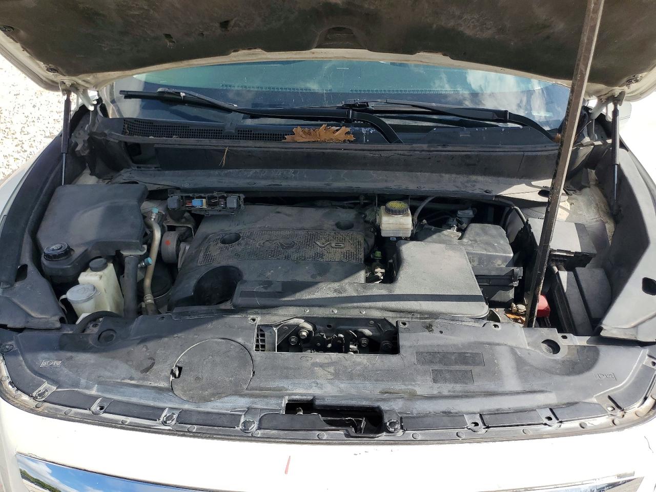 2013 Infiniti Jx35 Base Белый vin: 5N1AL0MM4DC327431