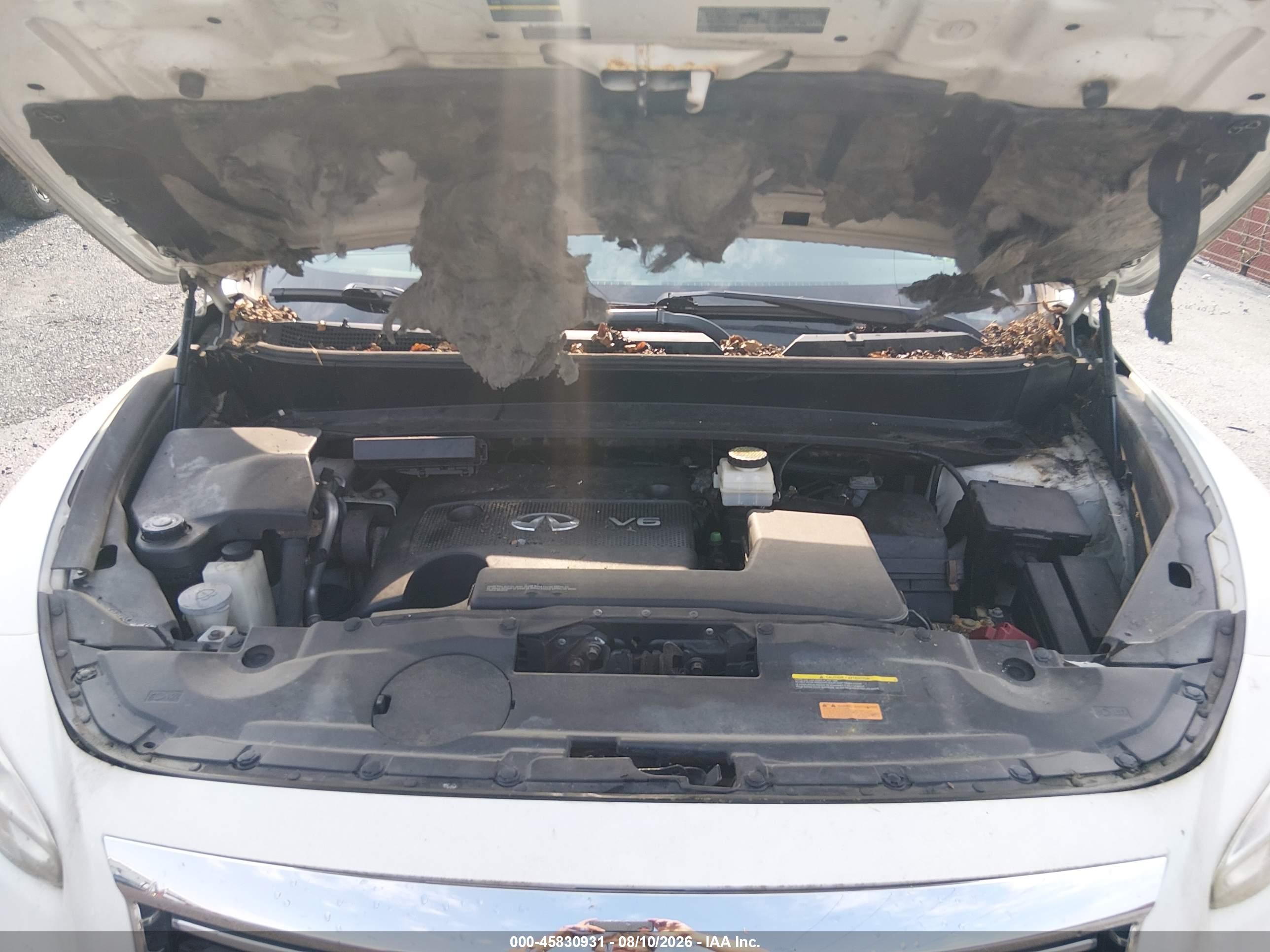 2013 Infiniti Jx35   White vin: 5N1AL0MM6DC307052