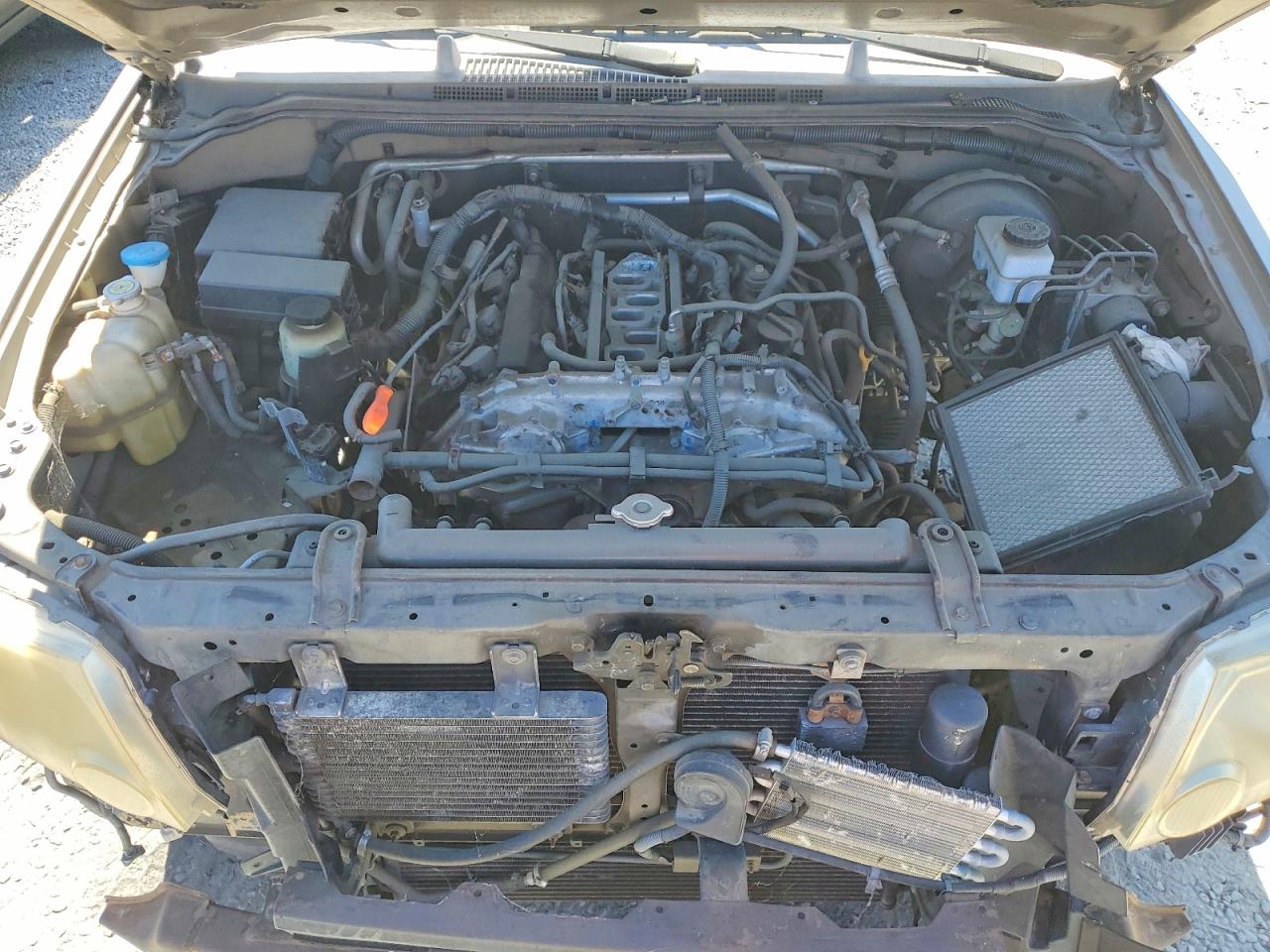 2005 Nissan Xterra S Green vin: 5N1AN08W25C655888
