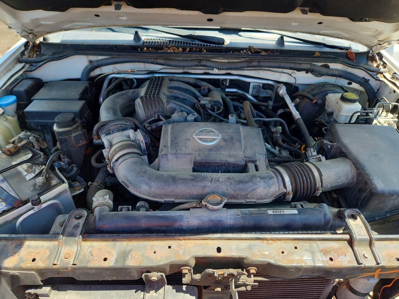 2011 Nissan Xterra X Белый vin: 5N1AN0NW8BC509463