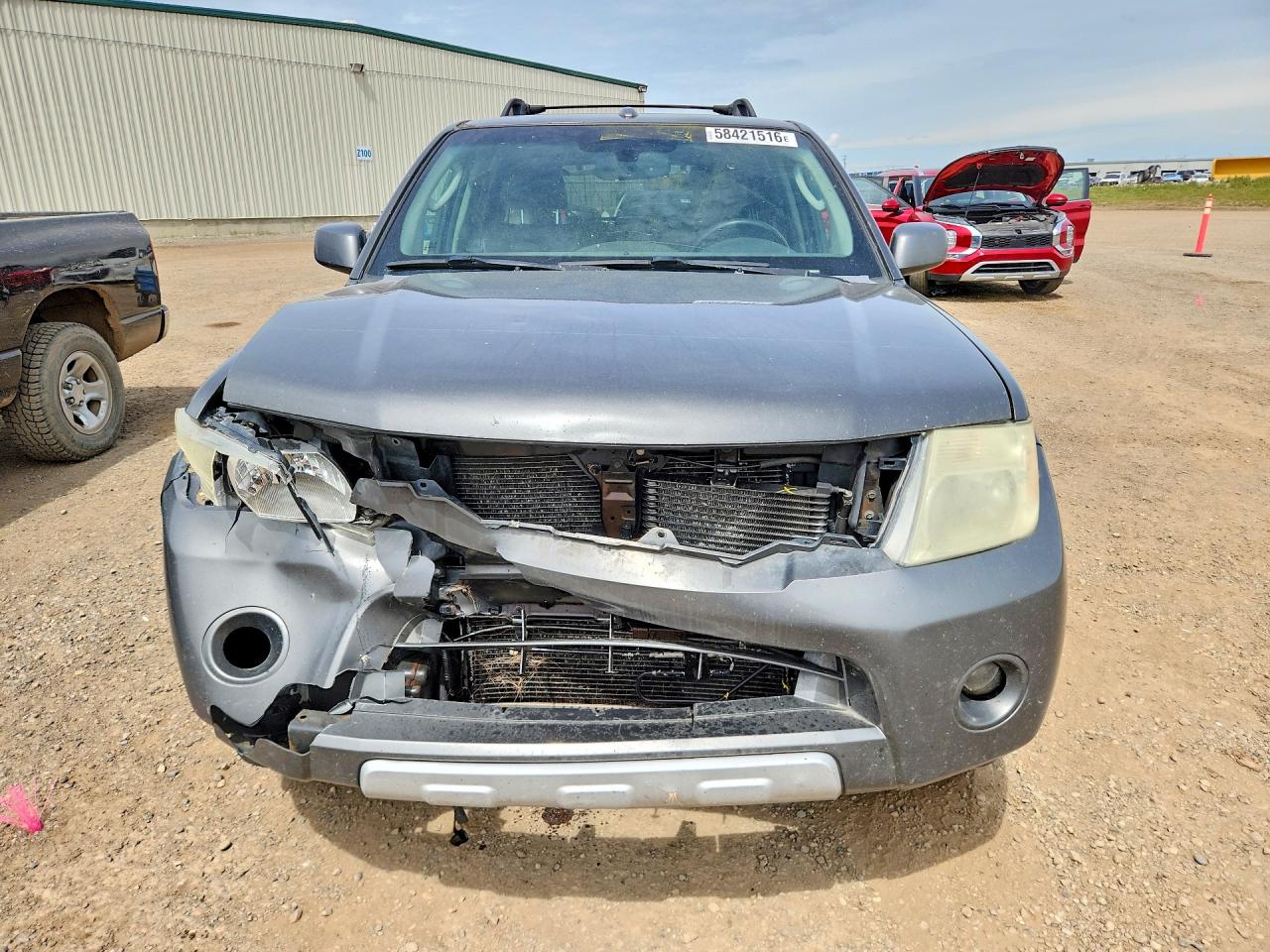 2009 Nissan Pathfinder S Gray vin: 5N1AR18B09C604516