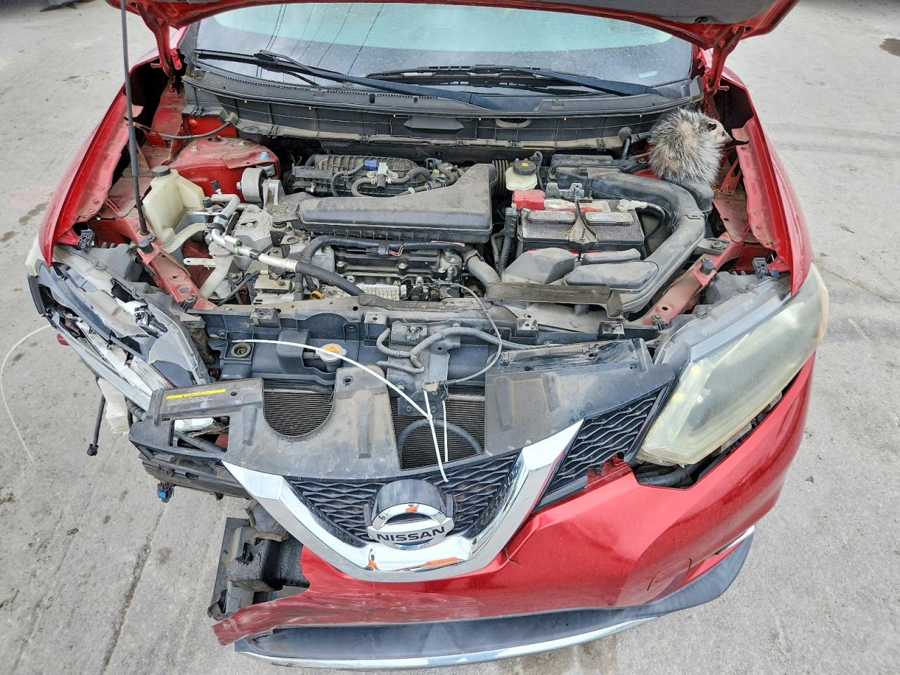 2015 Nissan Rogue Sl Burgundy vin: 5N1AT2MT4FC893904