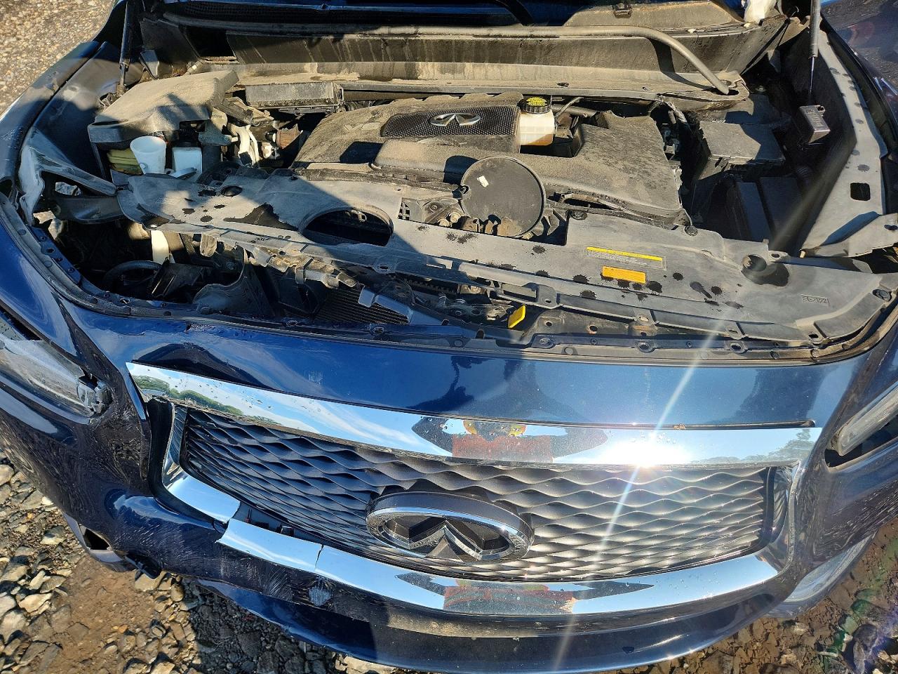 2019 Infiniti Qx60 Pure Blue vin: 5N1DL0MM6KC550418