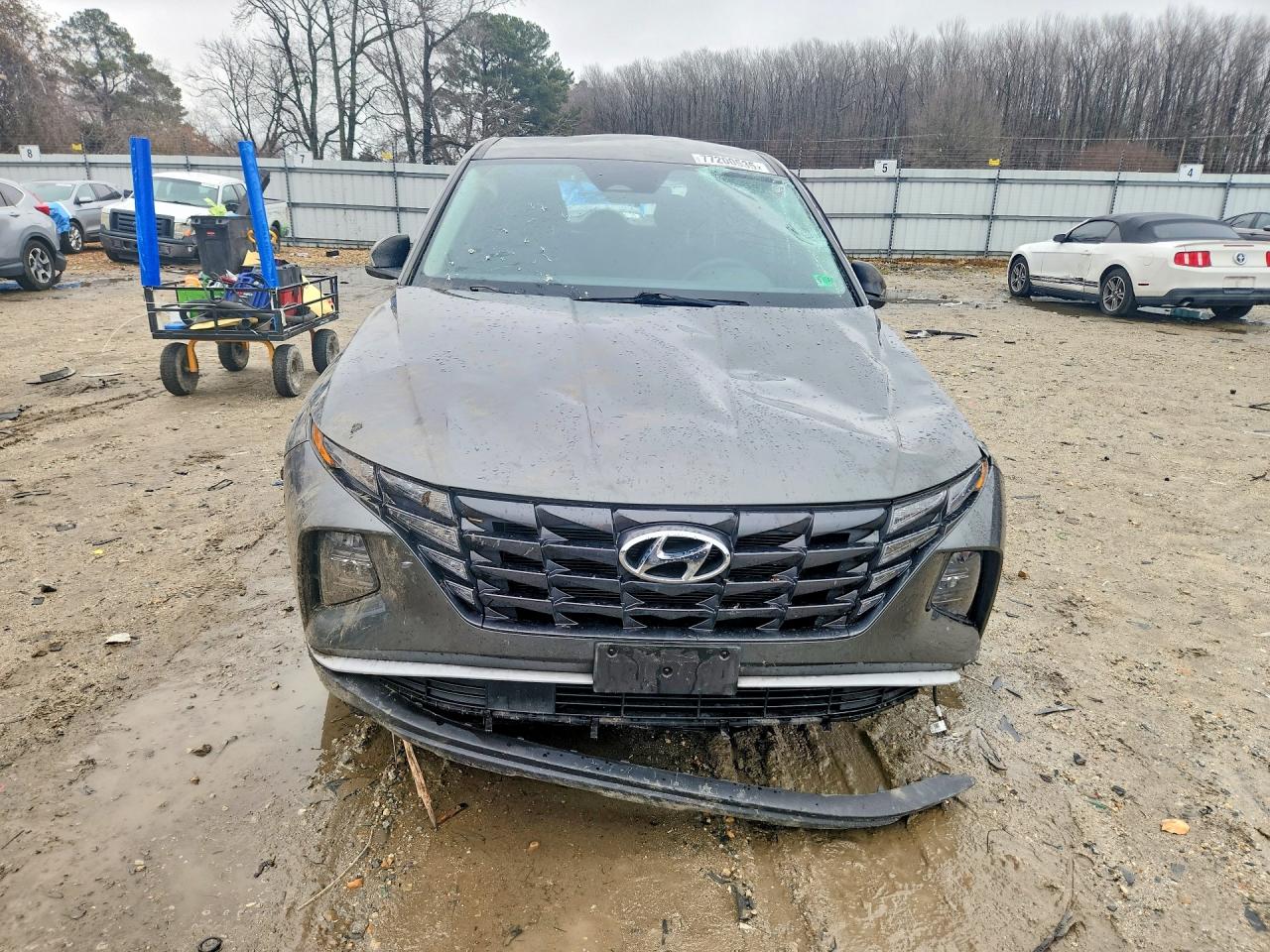 2023 Hyundai Tucson Se Green vin: 5NMJACAE1PH264402