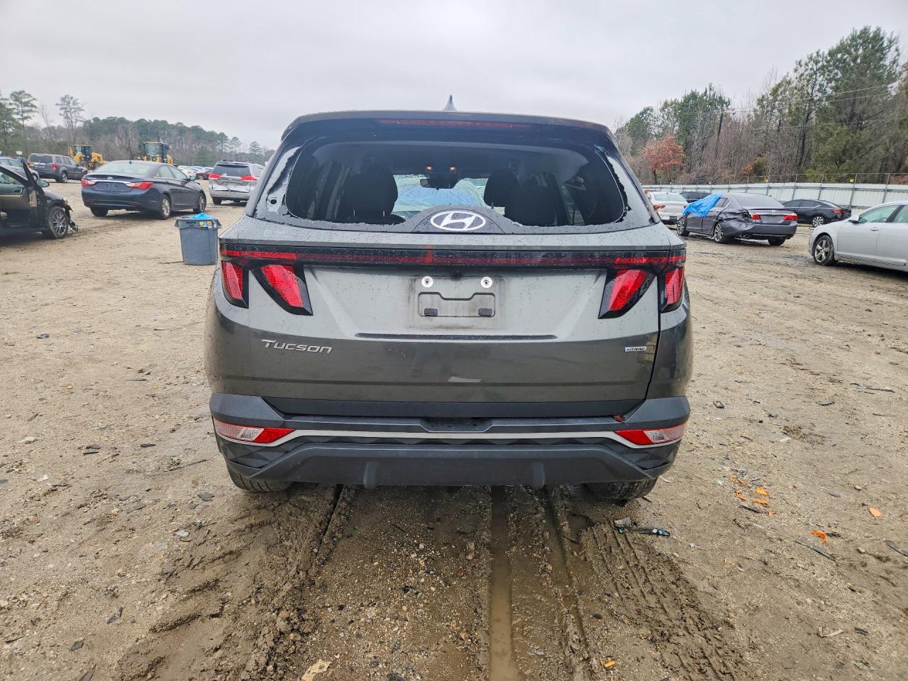 2023 Hyundai Tucson Se Green vin: 5NMJACAE1PH264402
