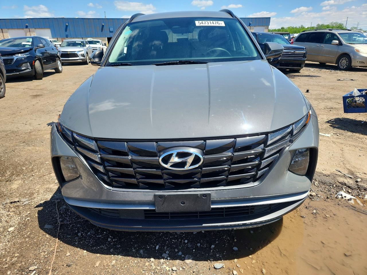 2024 Hyundai Tucson Sel Gray vin: 5NMJB3DE1RH421308