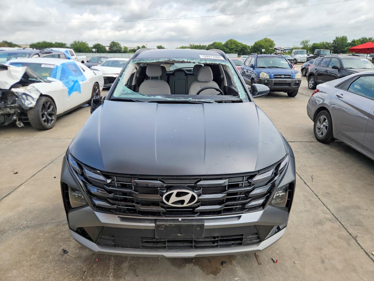 2025 Hyundai Tucson Sel Gray vin: 5NMJB3DEXSH457620