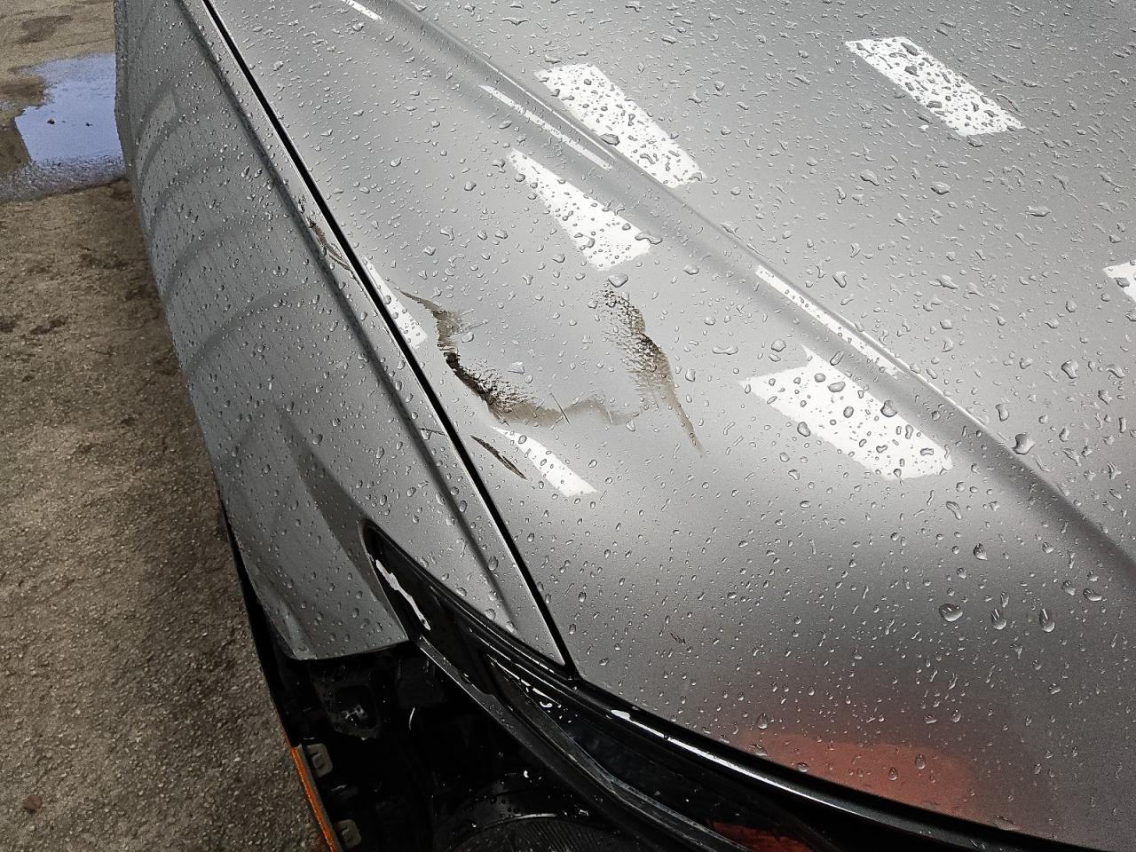 2025 Hyundai Tucson Sel Silver vin: 5NMJBCDE5SH553655 Damage: Hood, Multiple Scratches Light, 4