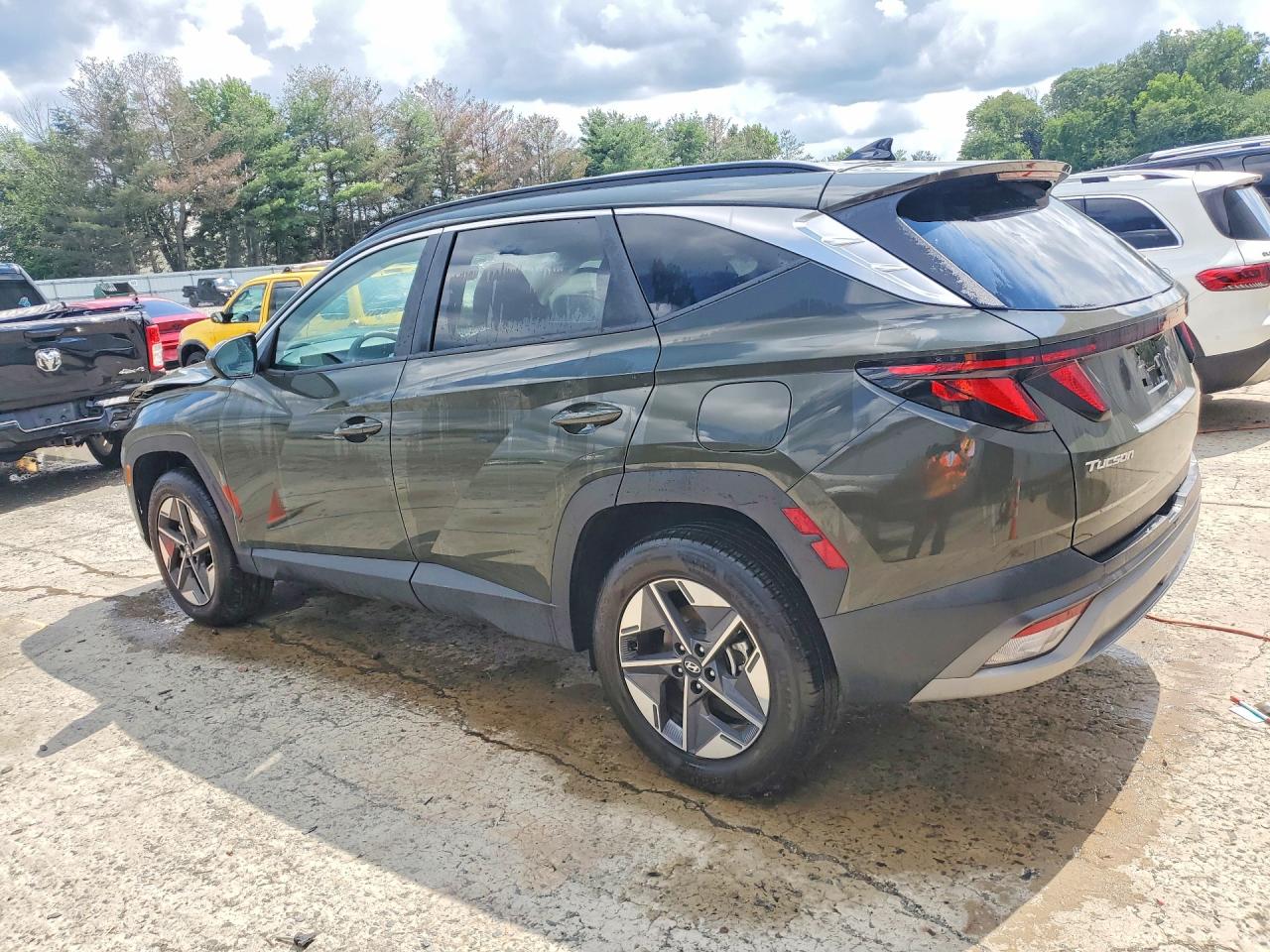 2025 Hyundai Tucson Sel Green vin: 5NMJBCDE8SH601665