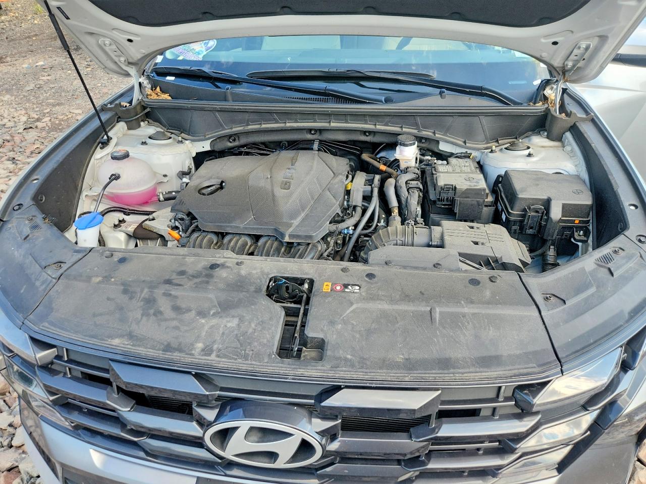 2025 Hyundai Tucson Sel White vin: 5NMJBCDEXSH543462