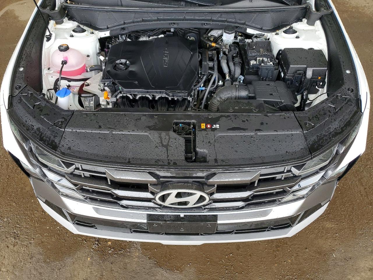 2026 Hyundai Tucson Sel White vin: 5NMJBCDEXTH671007