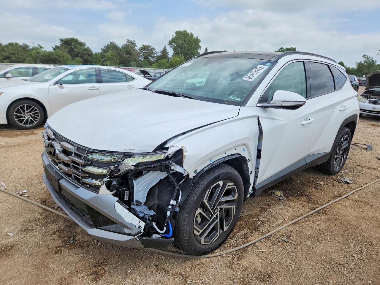 2025 Hyundai Tucson Limited White vin: 5NMJECDE7SH540610