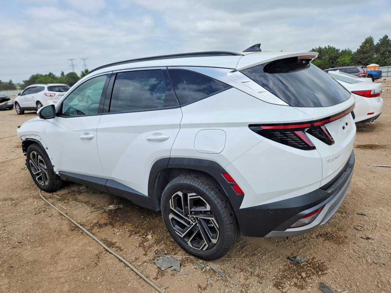 2025 Hyundai Tucson Limited White vin: 5NMJECDE7SH540610
