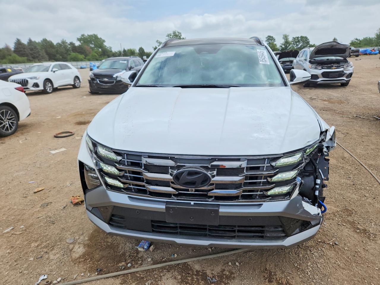 2025 Hyundai Tucson Limited White vin: 5NMJECDE7SH540610