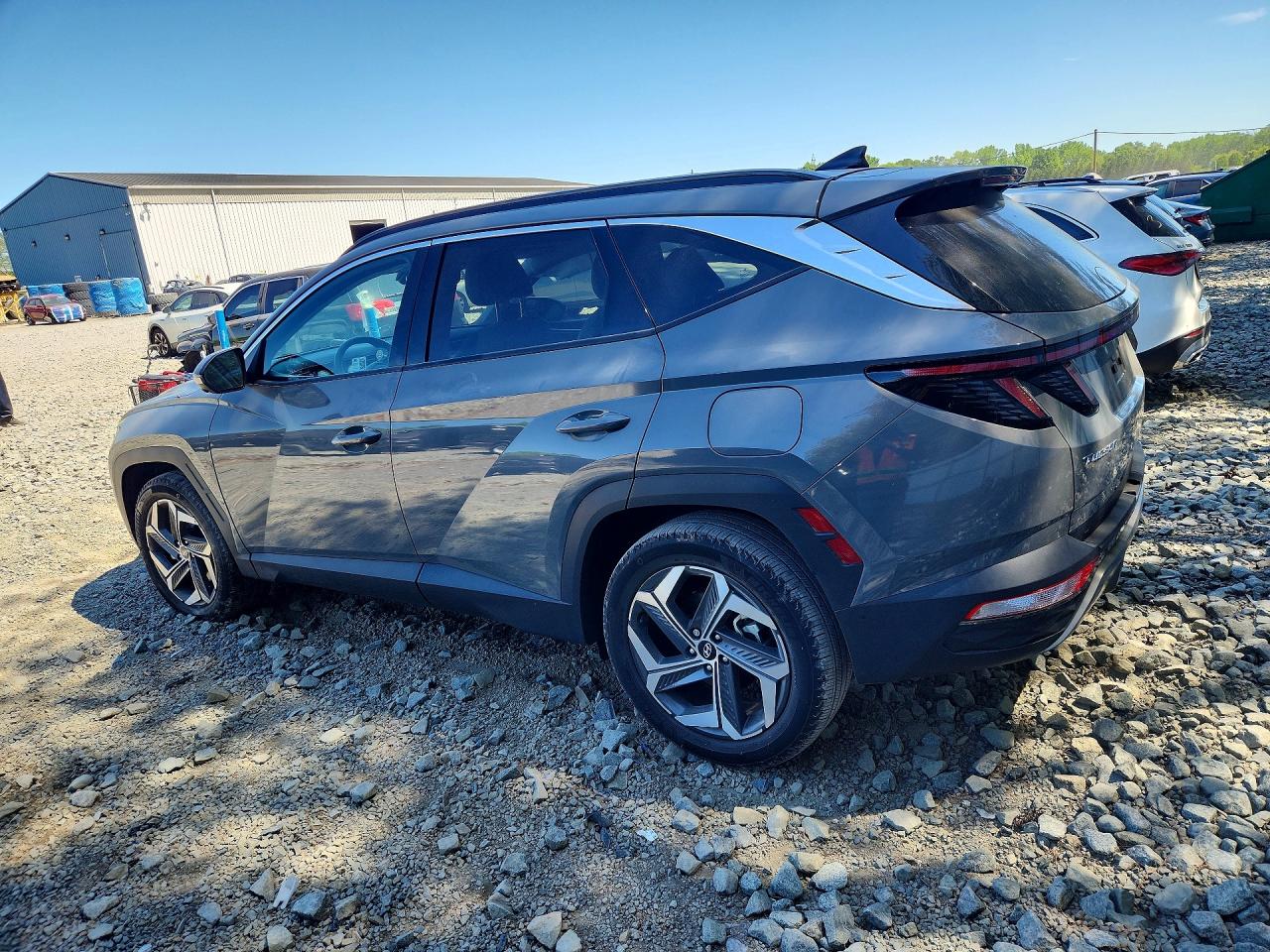 2024 Hyundai Tucson Limited Gray vin: 5NMJECDE8RH433222