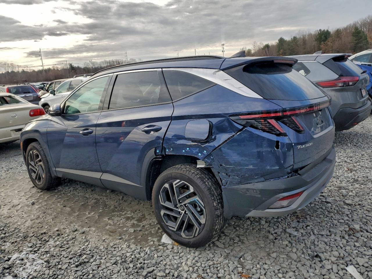 2025 Hyundai Tucson Limited Blue vin: 5NMJECDE8SH515070