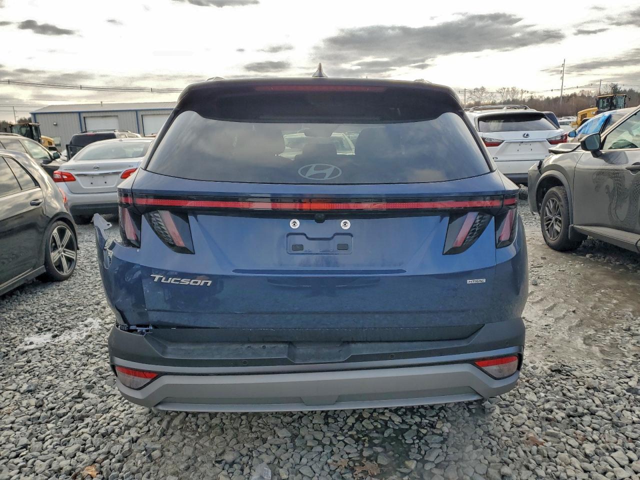 2025 Hyundai Tucson Limited Blue vin: 5NMJECDE8SH515070