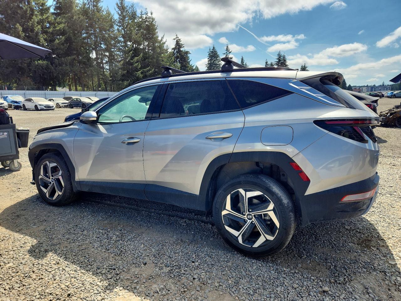 2024 Hyundai Tucson Limited Silver vin: 5NMJECDE9RH319682
