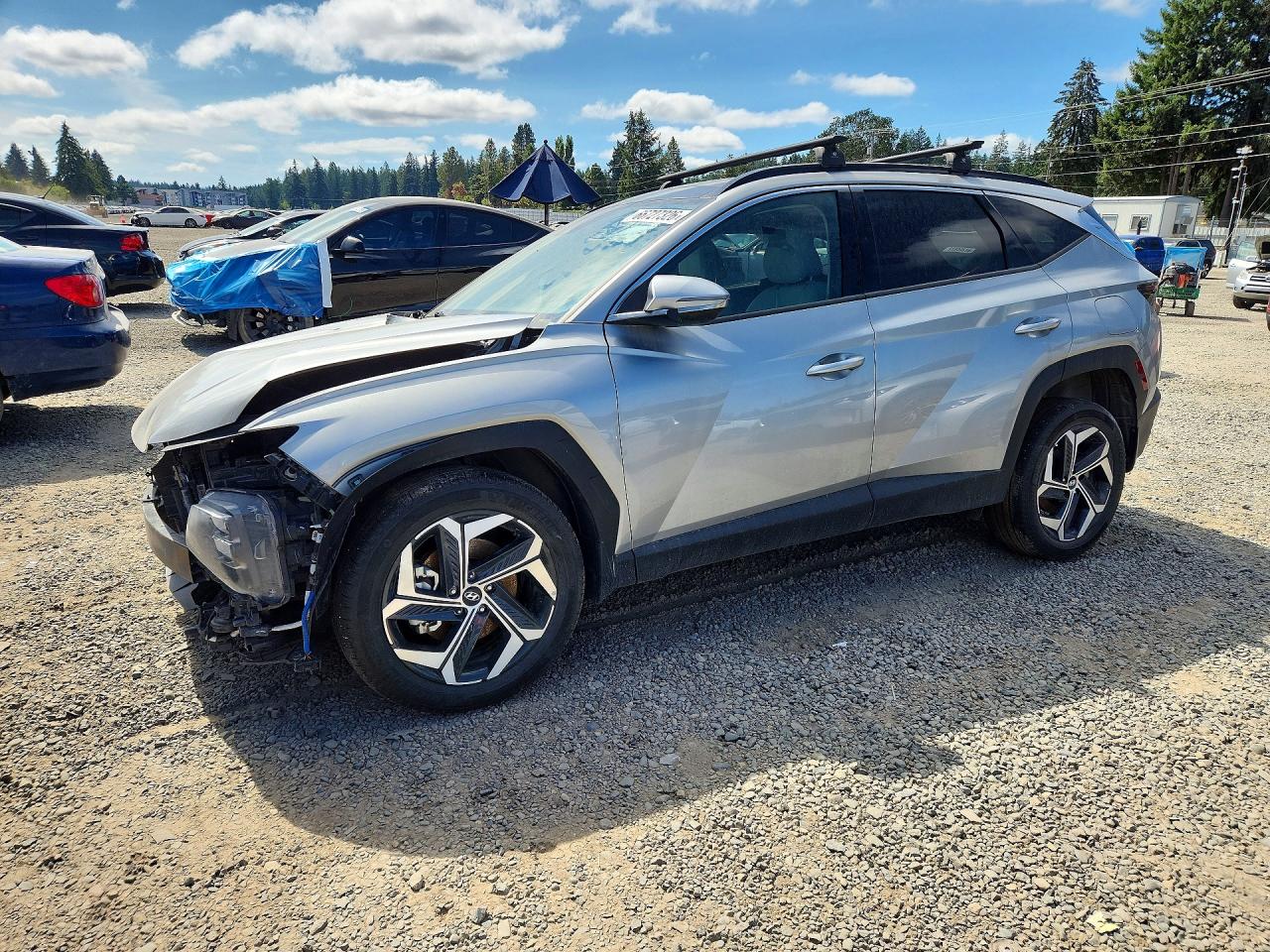 2024 Hyundai Tucson Limited Silver vin: 5NMJECDE9RH319682