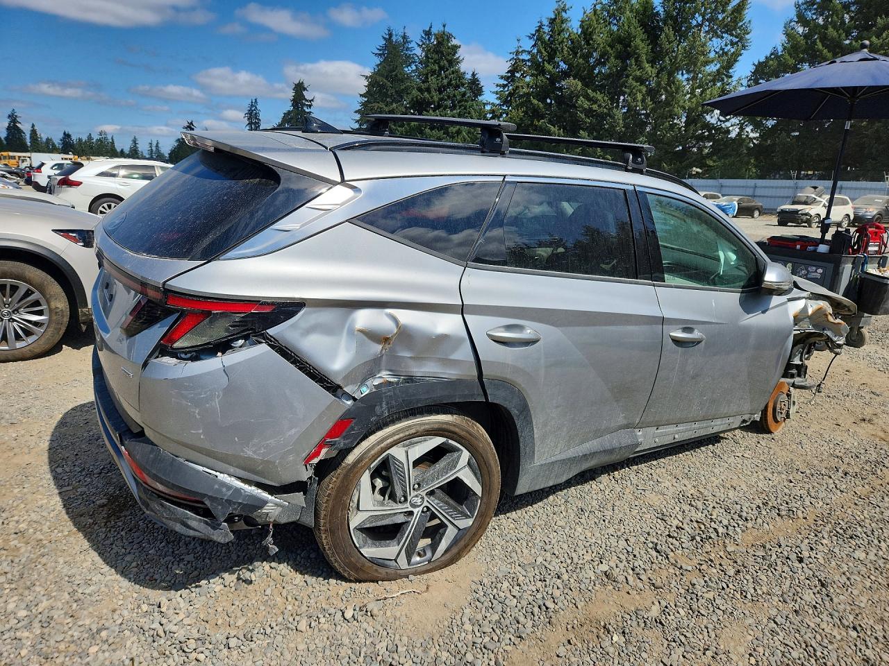 2024 Hyundai Tucson Limited Silver vin: 5NMJECDE9RH319682