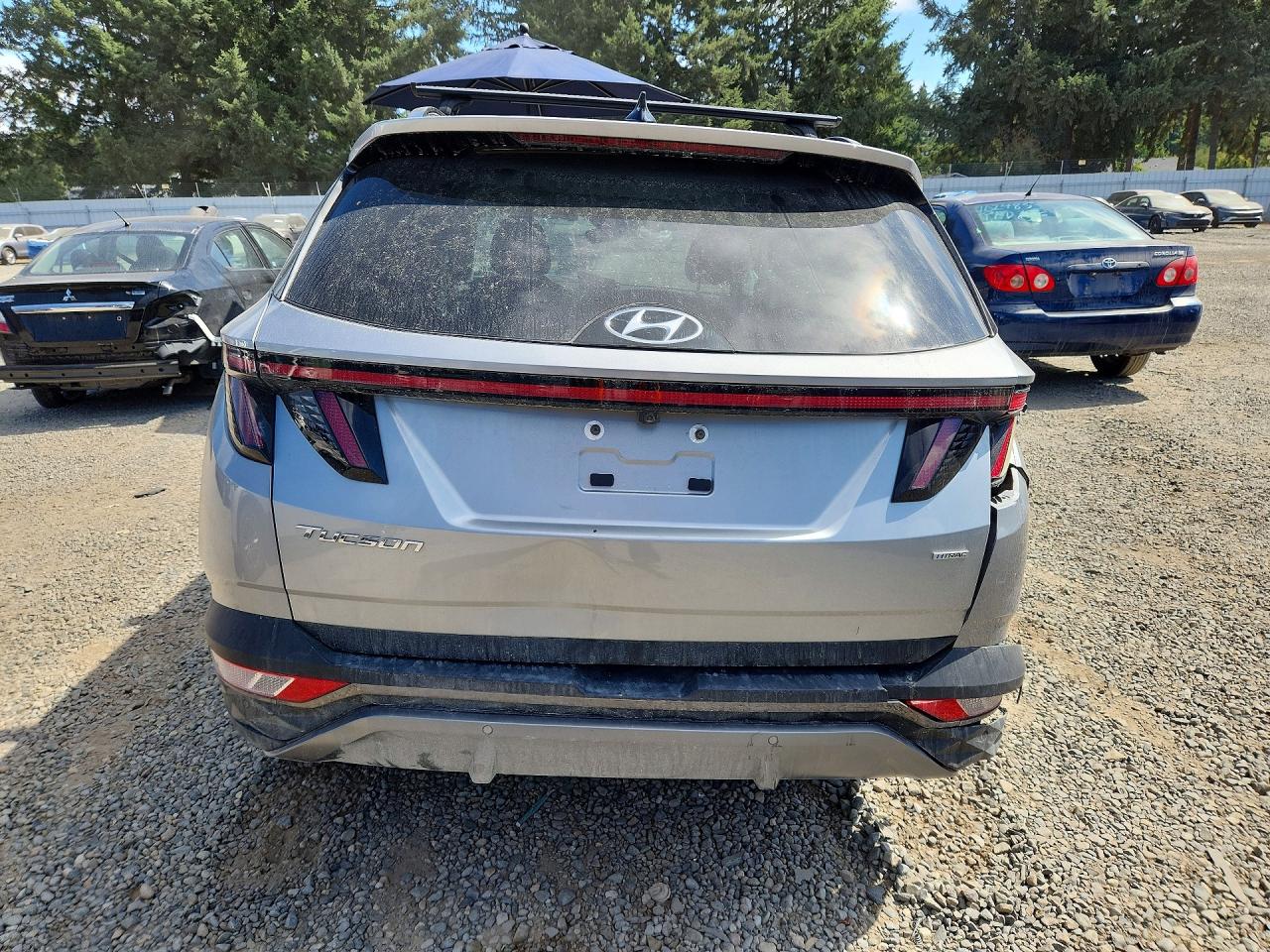 2024 Hyundai Tucson Limited Silver vin: 5NMJECDE9RH319682