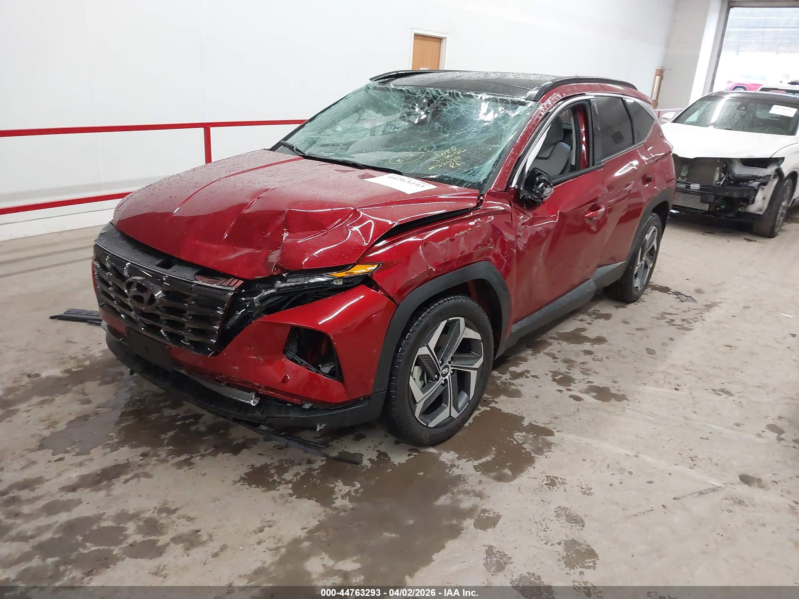 2024 Hyundai Tucson Limited Red vin: 5NMJECDE9RH431799