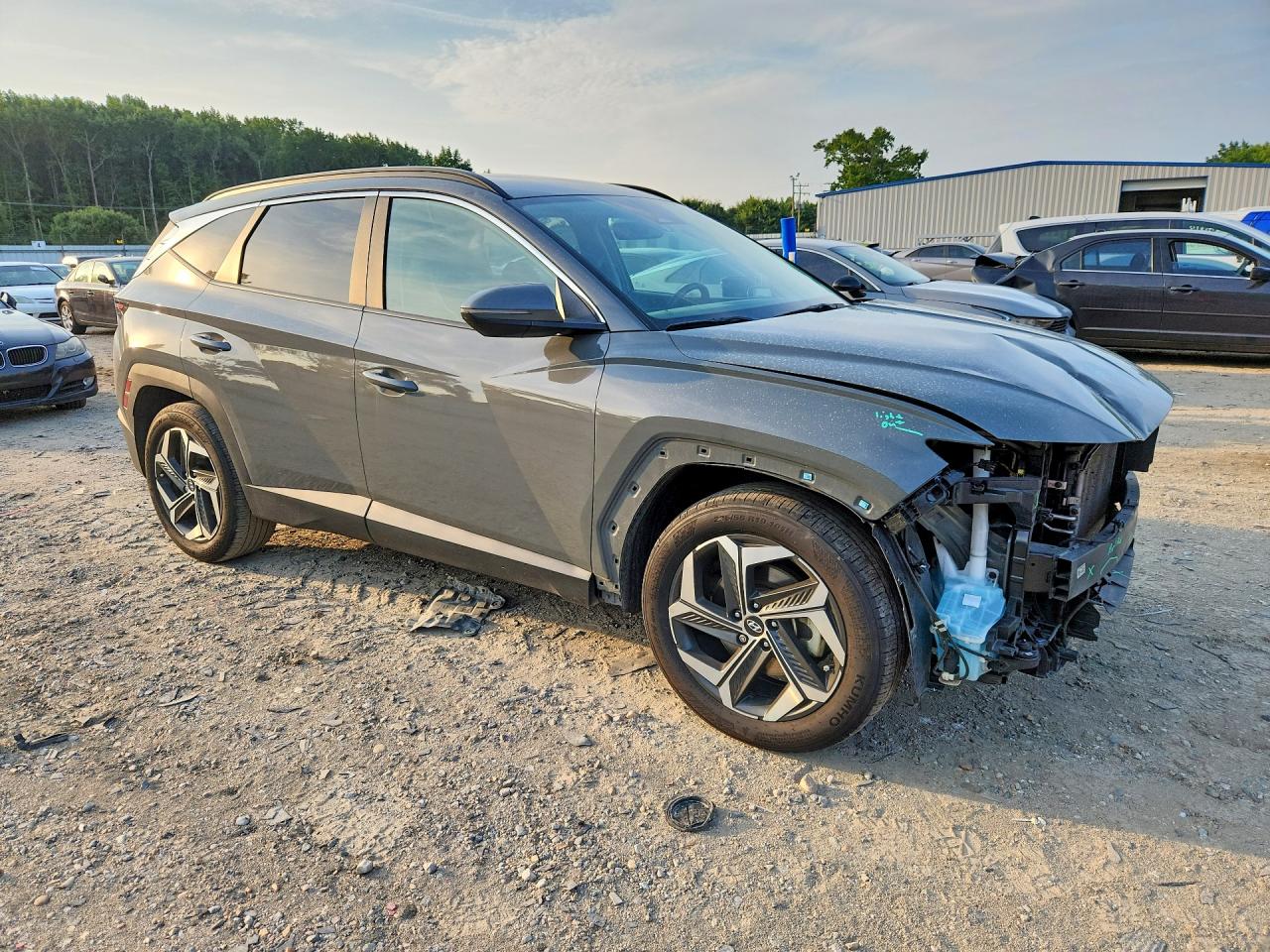 2024 Hyundai Tucson Sel Gray vin: 5NMJF3DE2RH304843