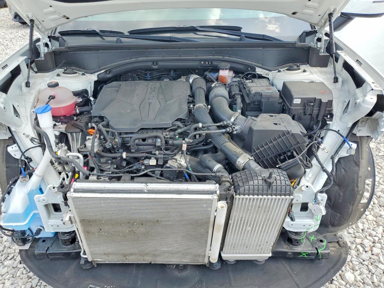 2024 Hyundai Santa Fe Sel White vin: 5NMP24GL9RH012161
