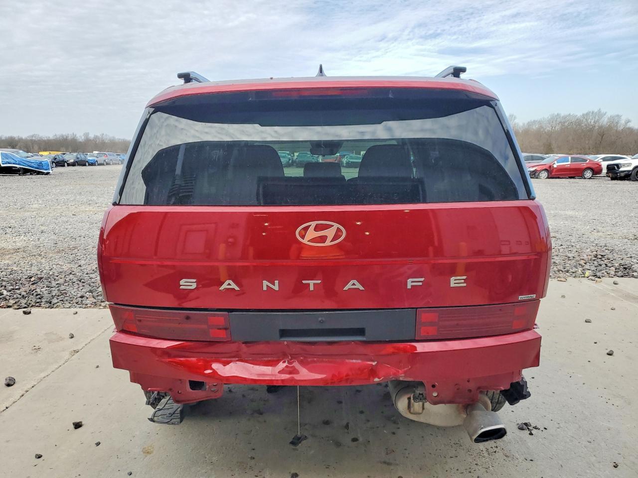2025 Hyundai Santa Fe Red vin: 5NMP2DGL8SH123905
