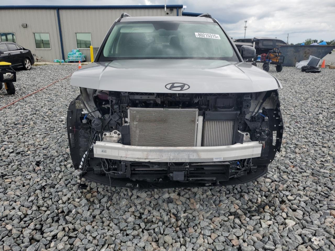 2025 Hyundai Santa Fe Xrt Серебряный vin: 5NMP3DGL6SH068674