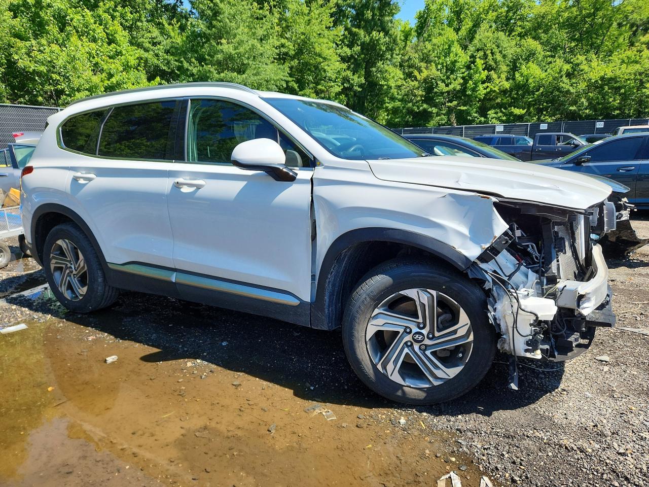 2021 Hyundai Santa Fe Sel Белый vin: 5NMS24AJ1MH355475