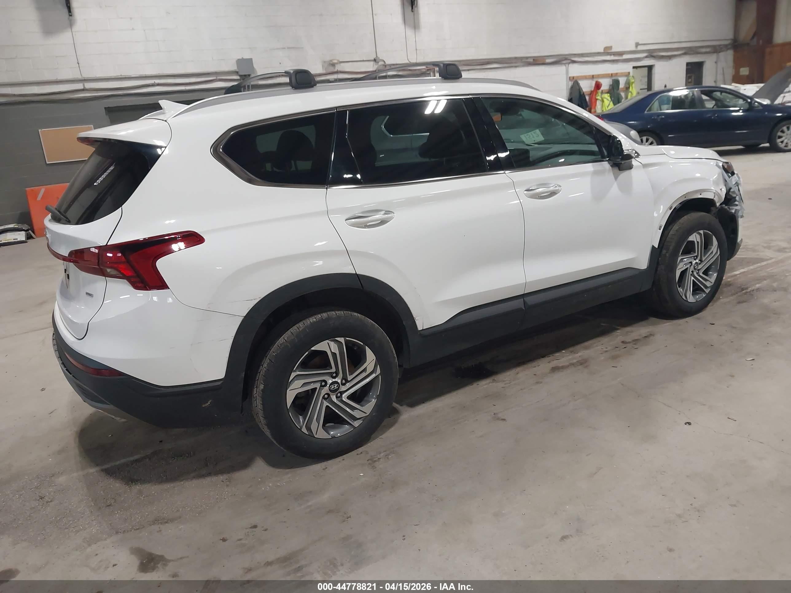 2023 Hyundai Santa Fe Sel White vin: 5NMS2DAJXPH600780