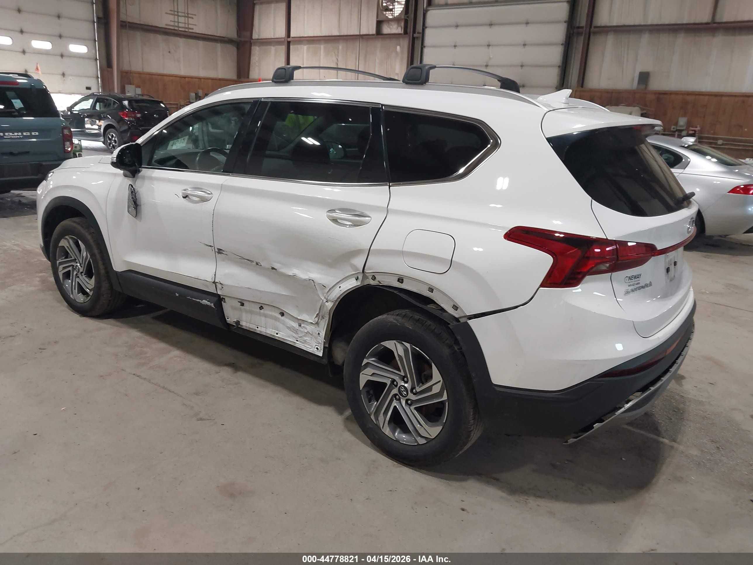 2023 Hyundai Santa Fe Sel White vin: 5NMS2DAJXPH600780
