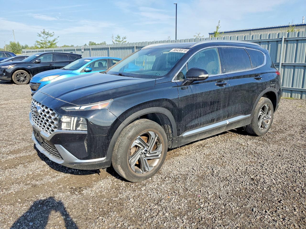 2021 Hyundai Santa Fe Sel Black vin: 5NMS3DAJ0MH335988