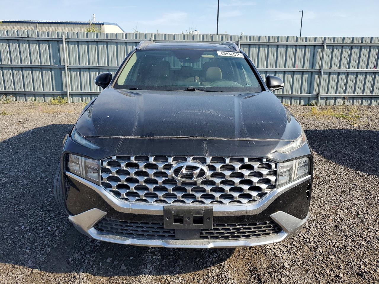 2021 Hyundai Santa Fe Sel Black vin: 5NMS3DAJ0MH335988