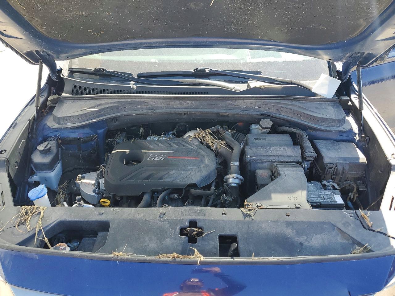 2020 Hyundai Santa Fe Limited 2.0t Blue vin: 5NMS53AA5LH284443