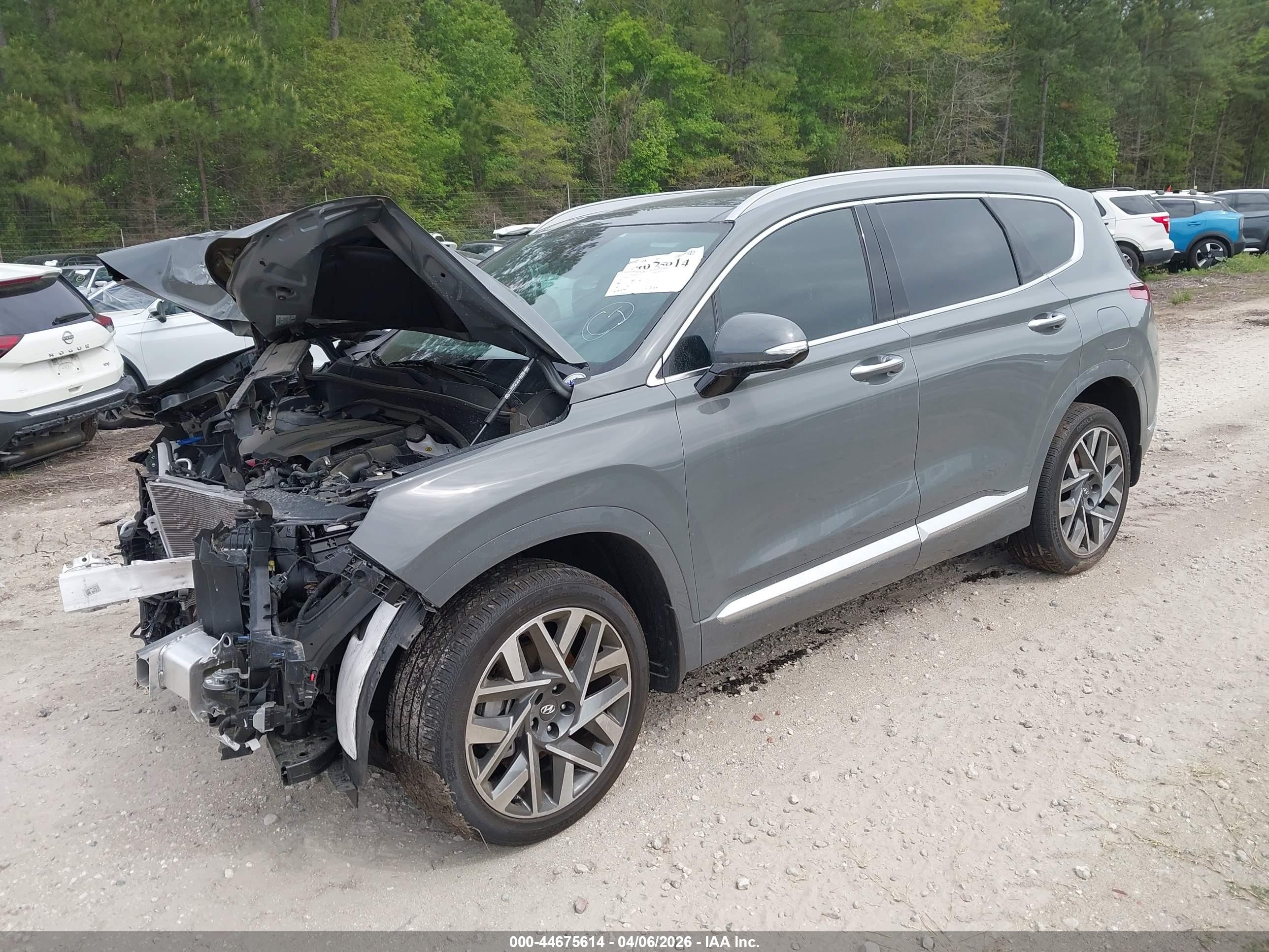 2023 Hyundai Santa Fe Calligraphy Gray vin: 5NMS54AL0PH656963
