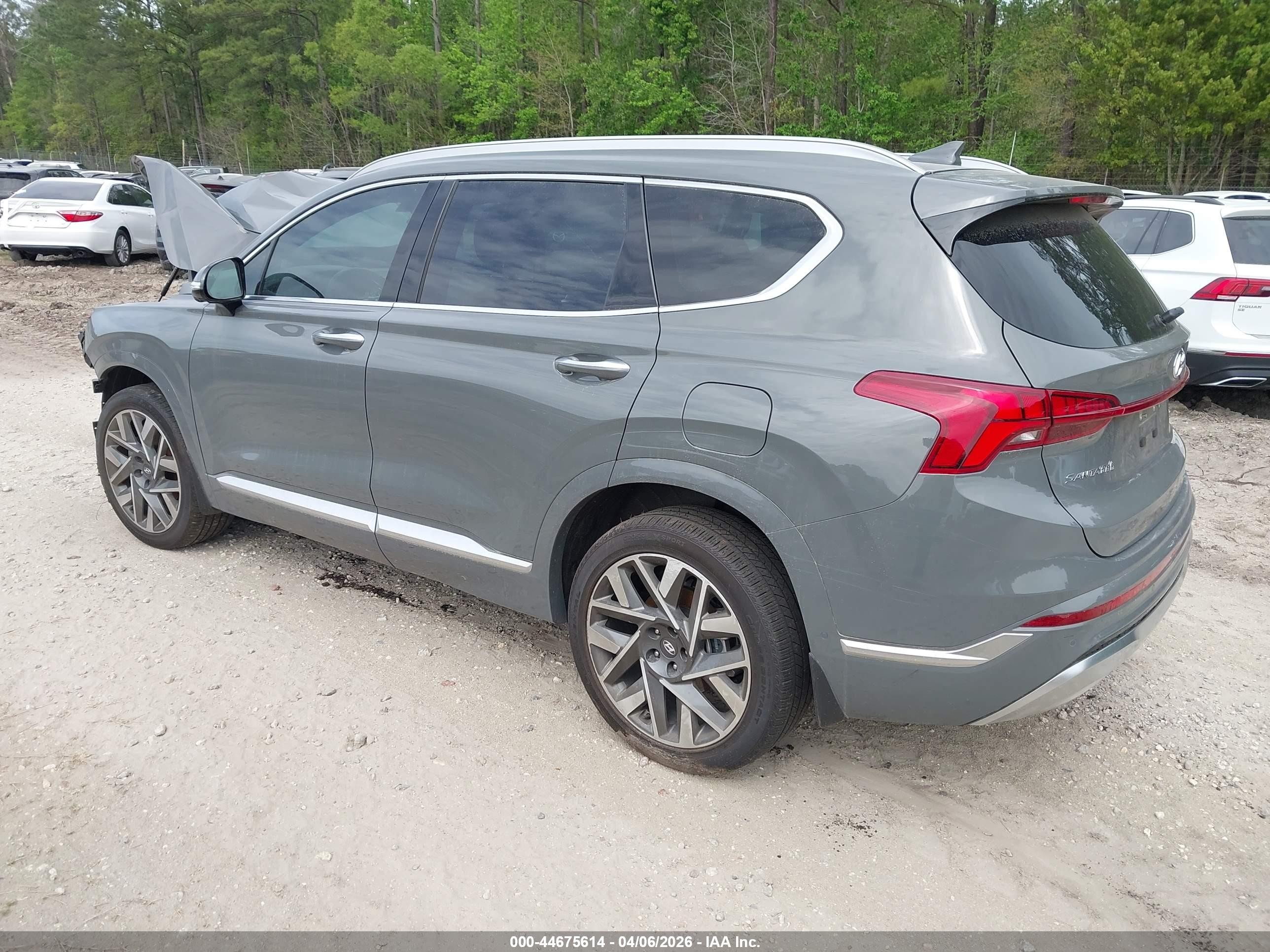 2023 Hyundai Santa Fe Calligraphy Gray vin: 5NMS54AL0PH656963