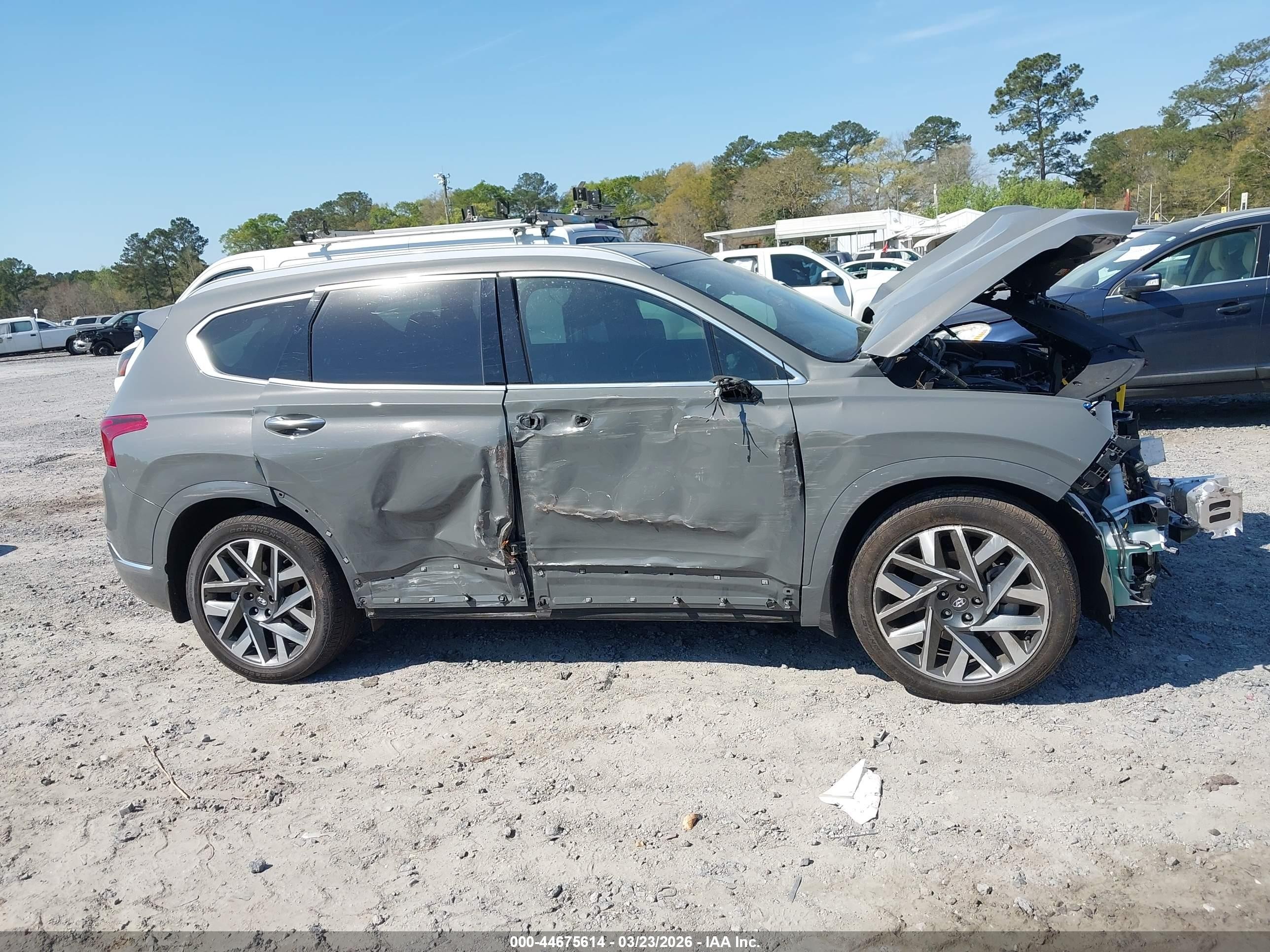 2023 Hyundai Santa Fe Calligraphy Gray vin: 5NMS54AL0PH656963