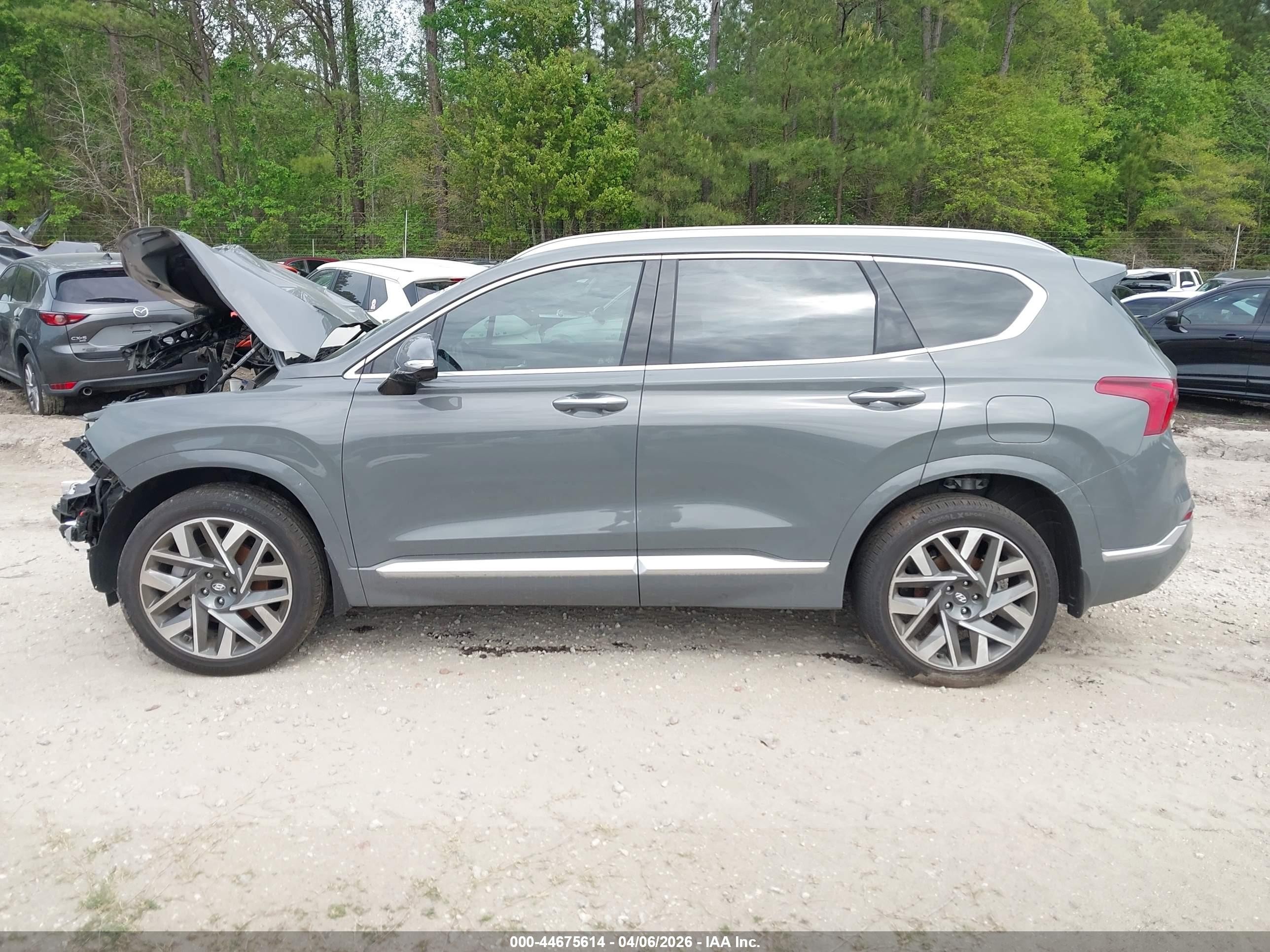 2023 Hyundai Santa Fe Calligraphy Gray vin: 5NMS54AL0PH656963