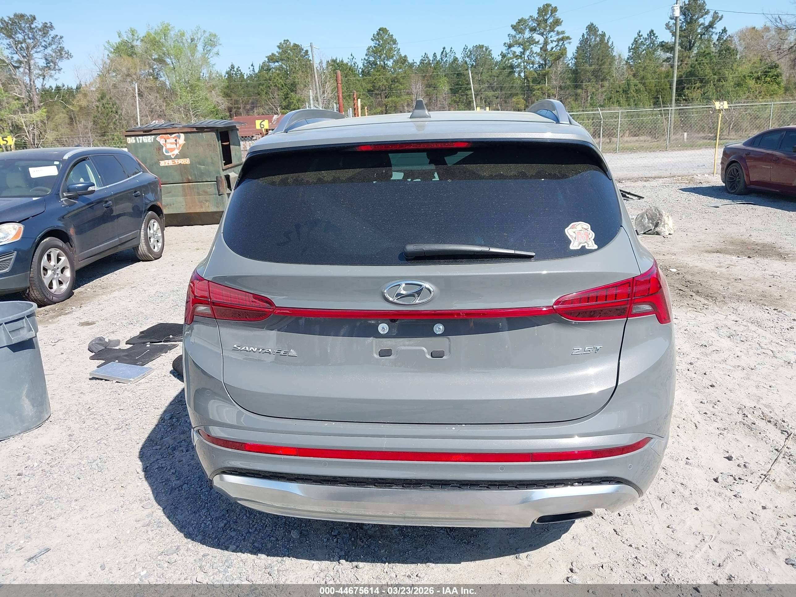 2023 Hyundai Santa Fe Calligraphy Gray vin: 5NMS54AL0PH656963