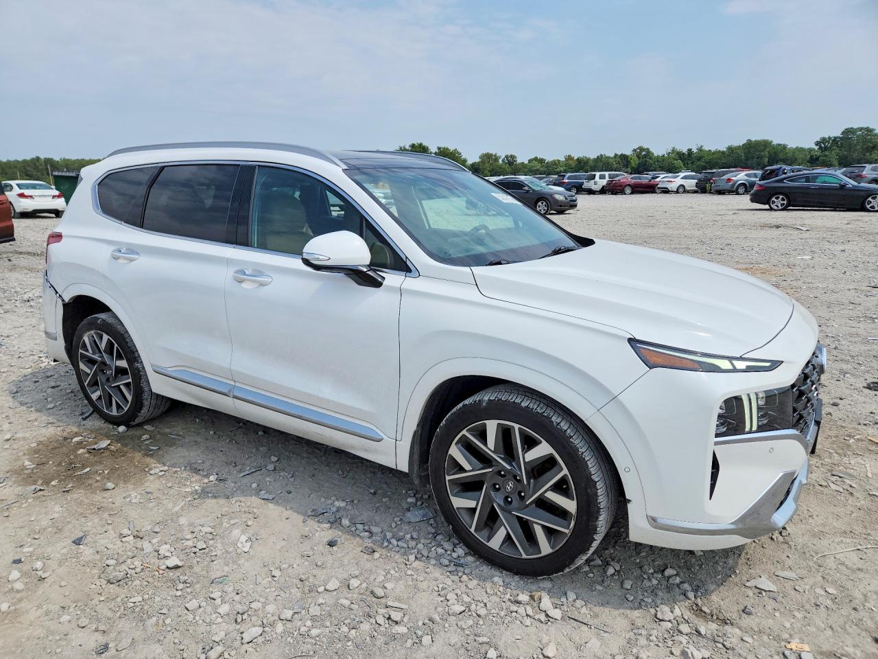 2023 Hyundai Santa Fe Calligraphy White vin: 5NMS54AL4PH611797