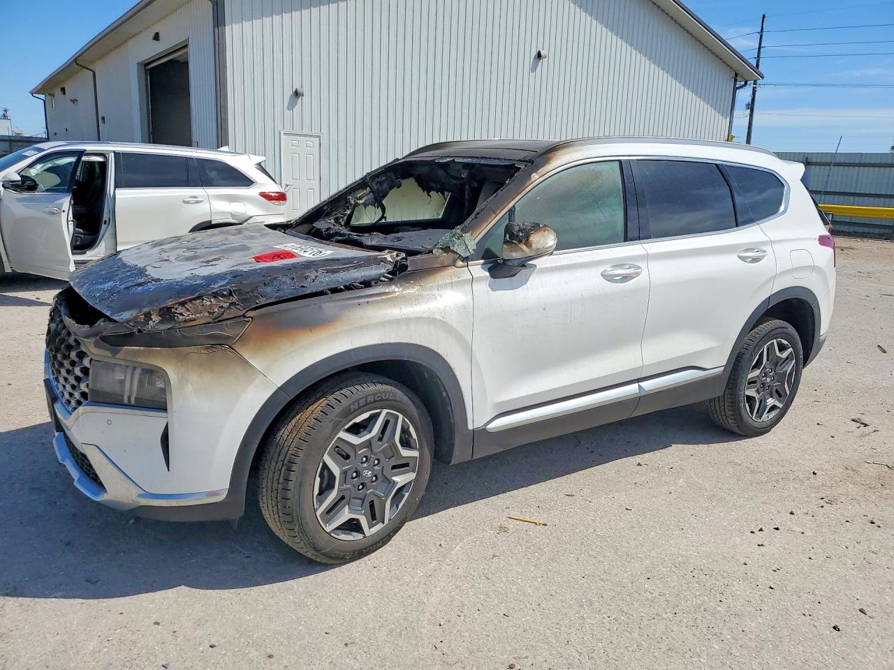 2023 Hyundai Santa Fe Limited White vin: 5NMS5DA13PH013344