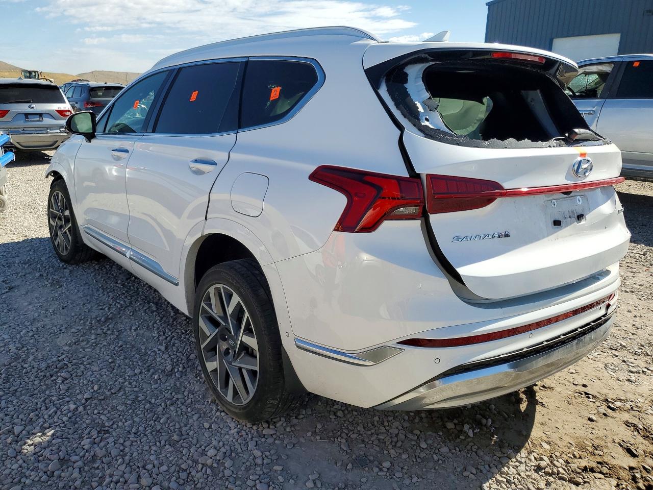 2023 Hyundai Santa Fe Calligraphy White vin: 5NMS5DAL2PH609966