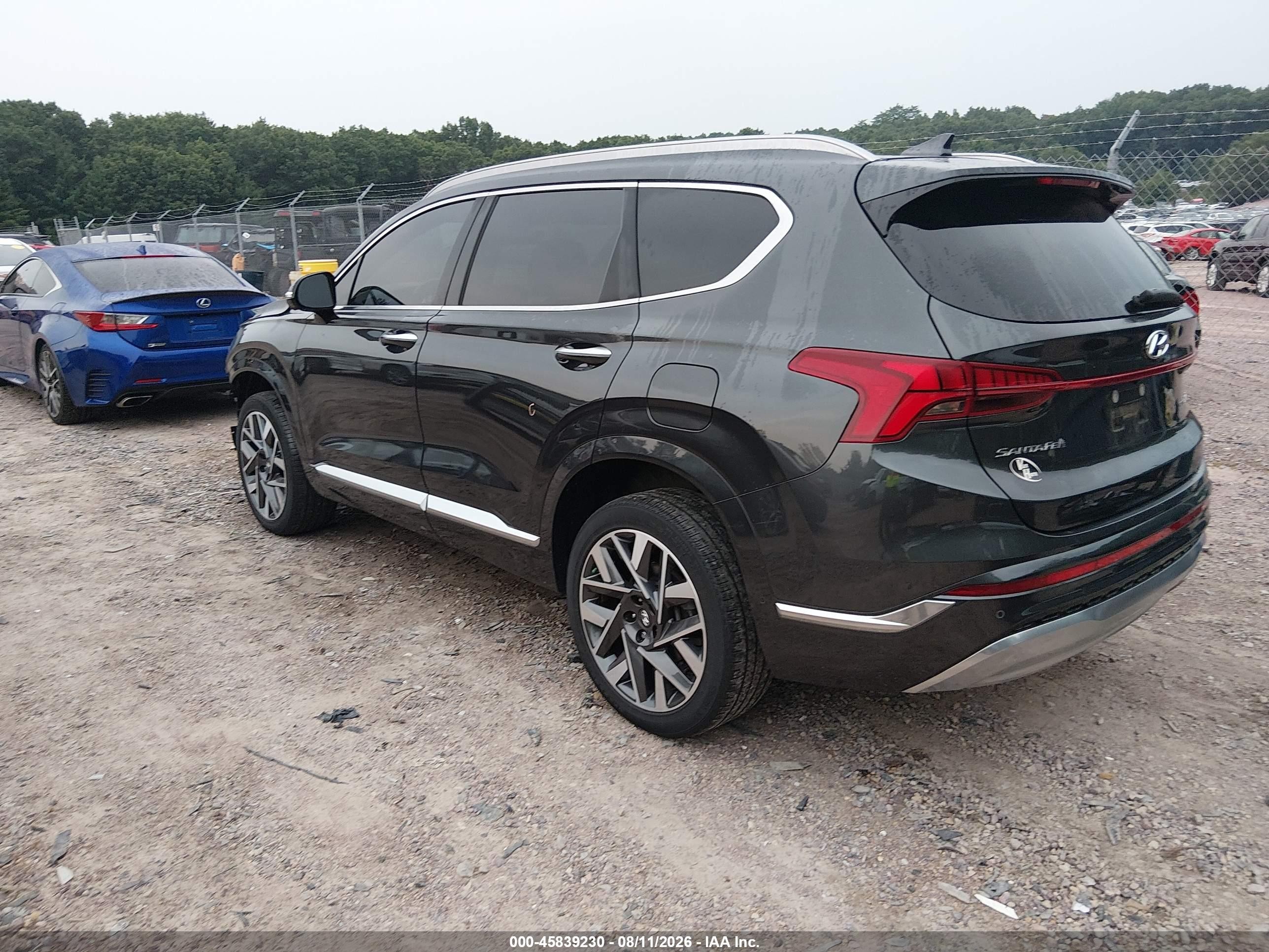 2023 Hyundai Santa Fe Calligraphy Black vin: 5NMS5DAL7PH499223