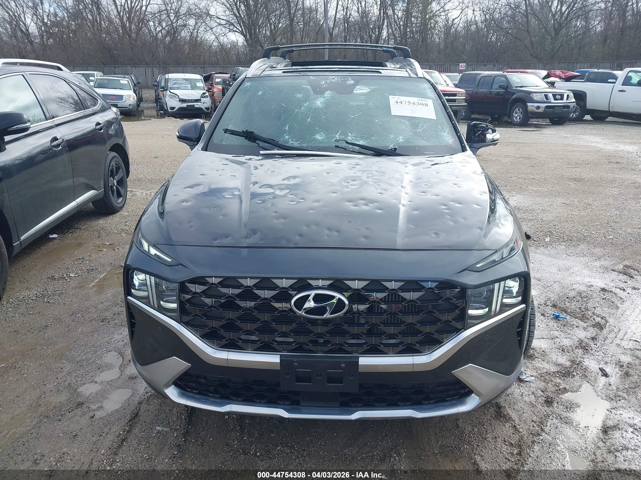 2021 Hyundai Santa Fe Calligraphy Серый vin: 5NMS5DAL8MH367695