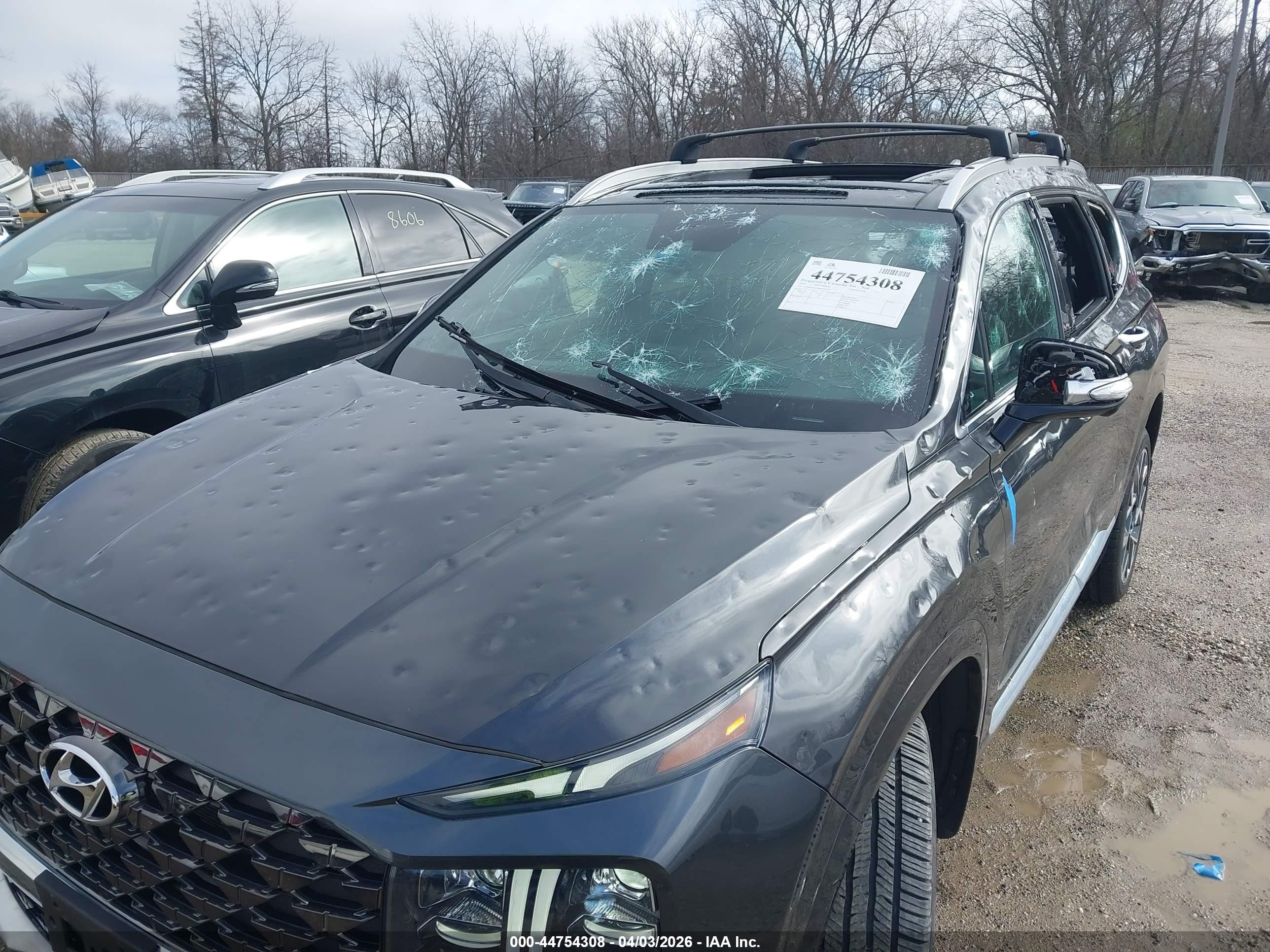 2021 Hyundai Santa Fe Calligraphy Серый vin: 5NMS5DAL8MH367695